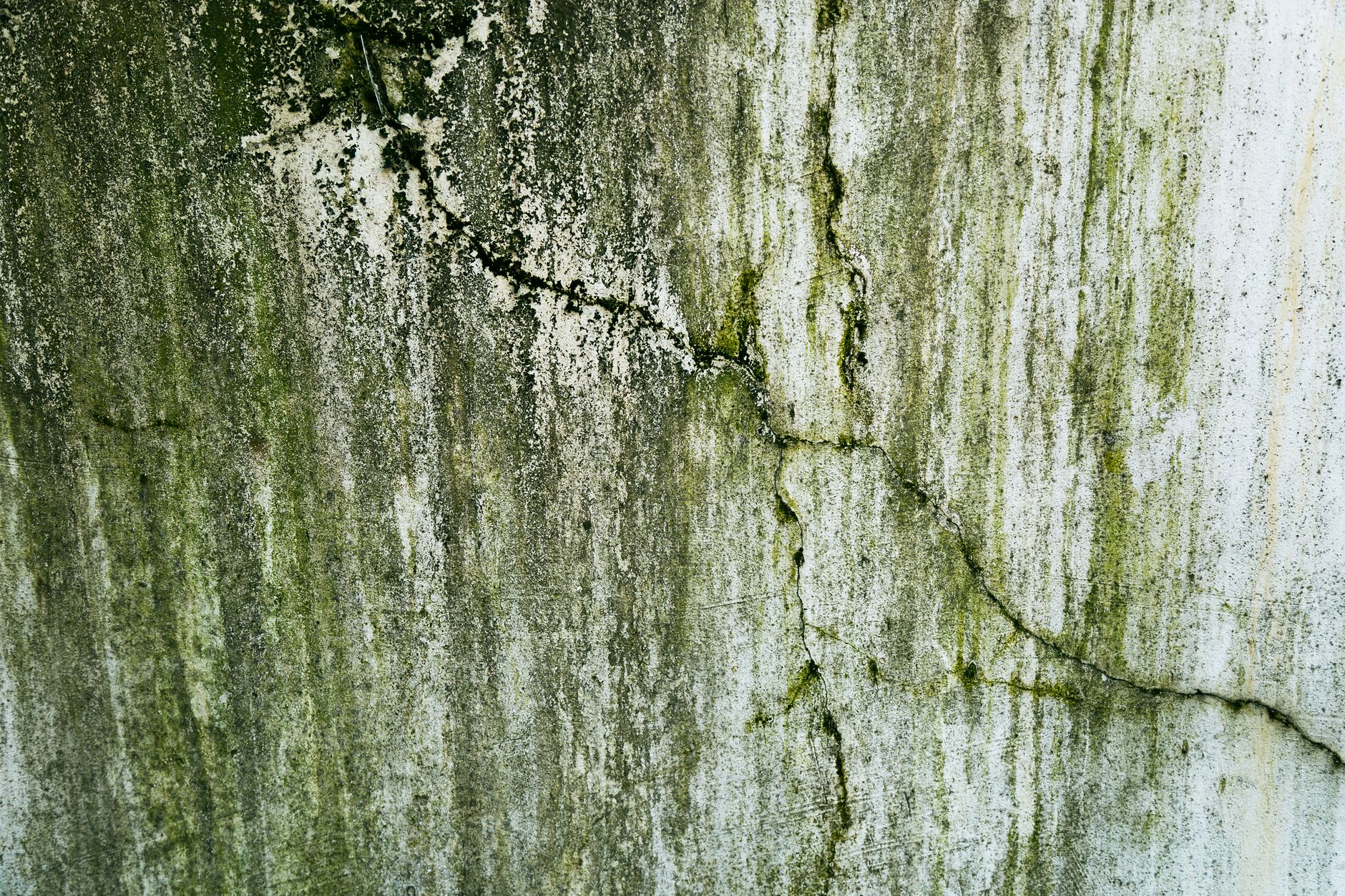 foto: detail rias na zateplenej fasáde